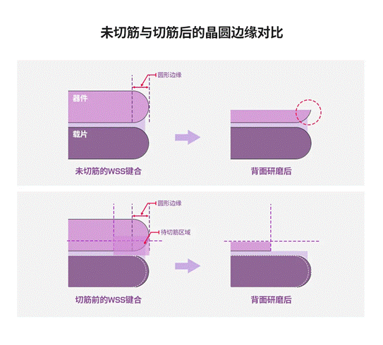 图8:未切筋.png