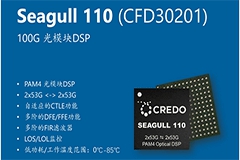 Credo DSP³ԱSeagull 110Seagull XR8