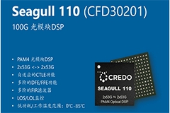 Credo DSP³ԱSeagull 110Seagull XR8