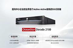 ҵ׿ΪƳСҵȫ NAS 洢 OceanStor Dorado 2100